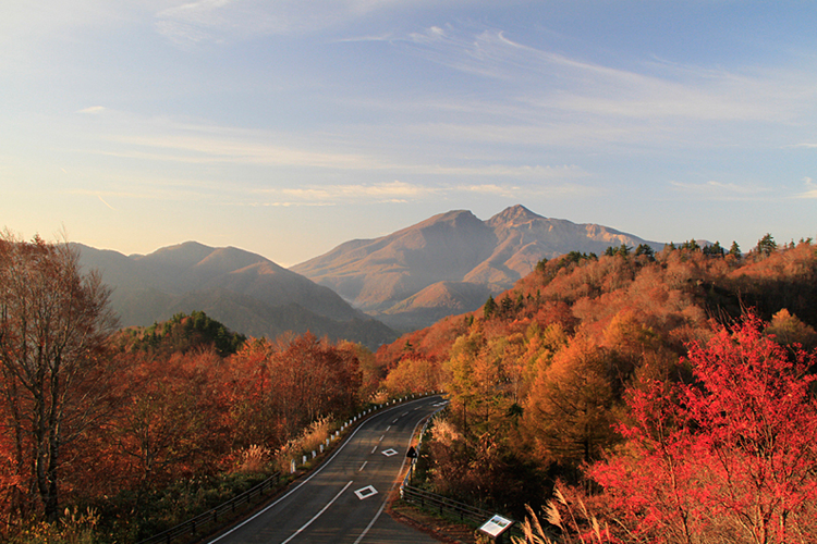 Beautiful autumn leaves around Bandai-Azuma roadway. 