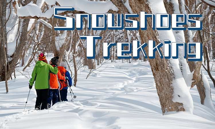 Snowshoes Trekking