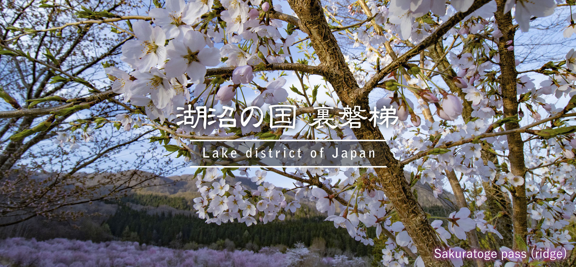 Sakuratoge Ridge