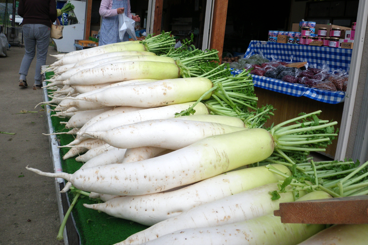 高原野菜_大根