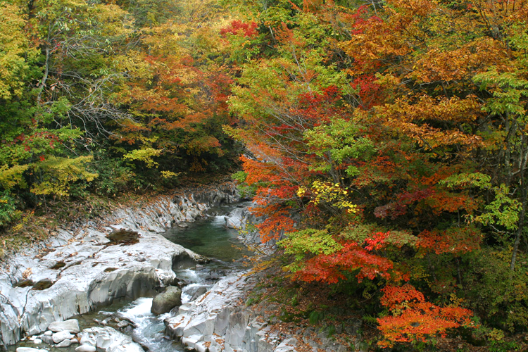 中津川渓谷