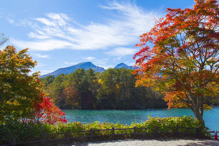 ここはどこ 紅葉クイズ 裏磐梯観光協会