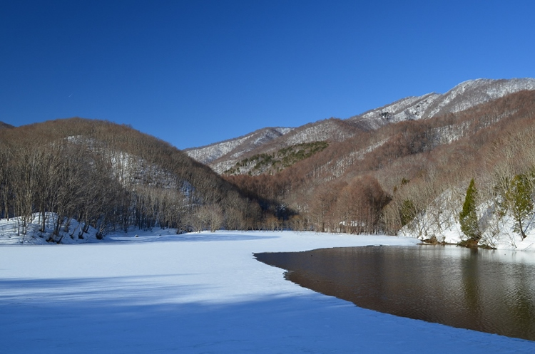 大沢沼の画像2
