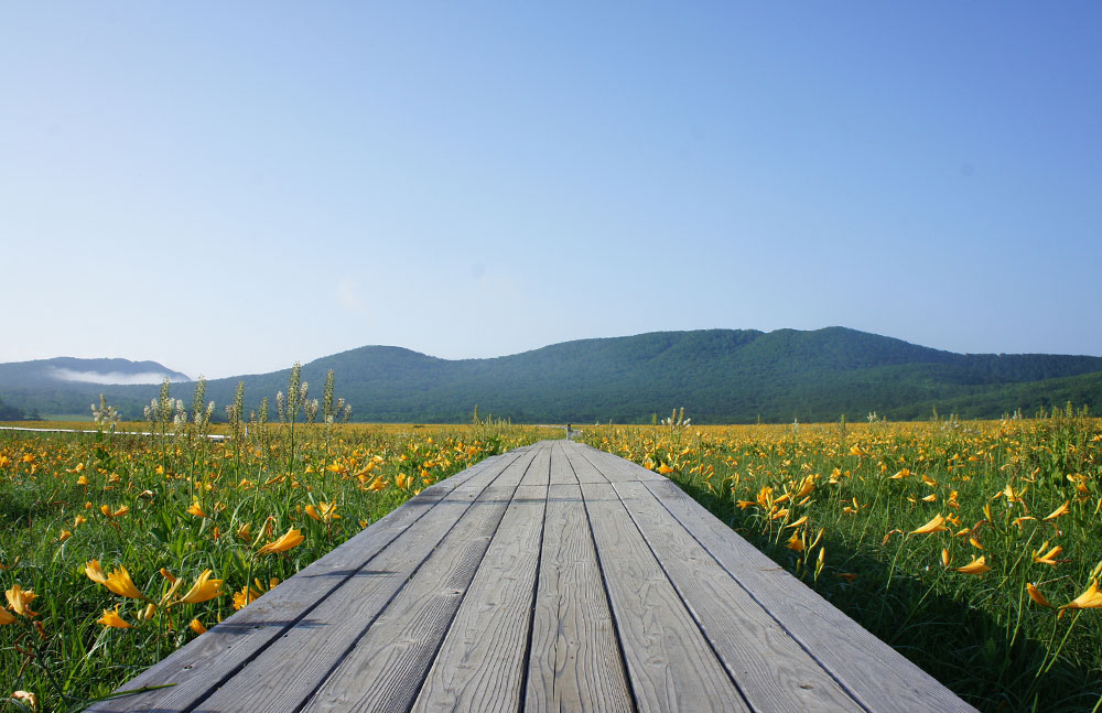 雄国沼湿原探勝路 裏磐梯観光協会