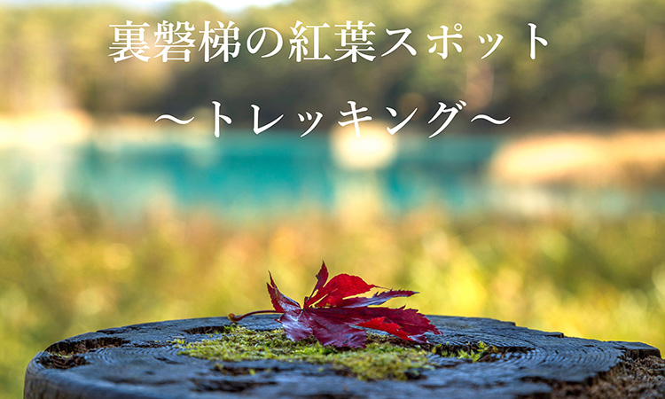 裏磐梯エリアの紅葉の見頃は 裏磐梯観光協会