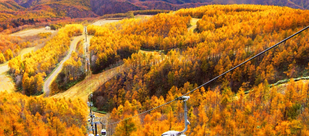 【ご案内】グランデコ裏磐梯ロープウェイ 運行開始🚡