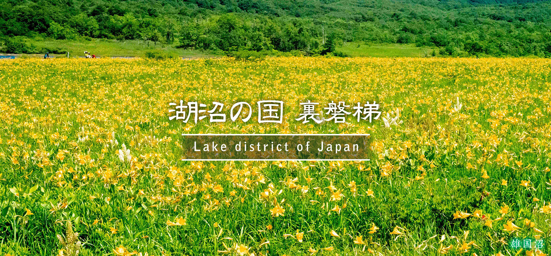 雄国沼