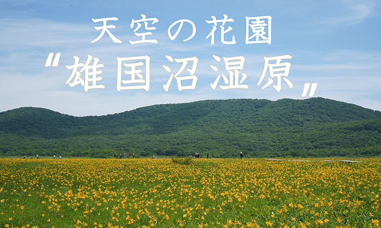 雄国沼湿原の画像