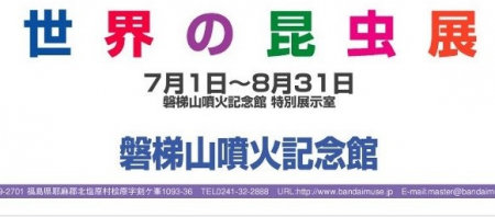 【ご案内】磐梯山噴火記念館：世界の昆虫展