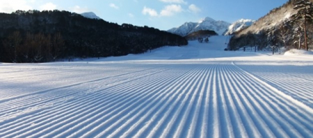 2024-25年スキーシーズンの到来です。