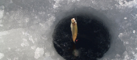 ワカサギ・・今日は何匹釣れるかな！