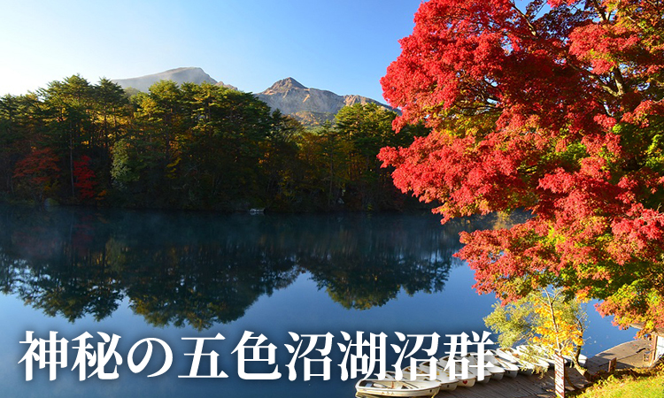 季節のおすすめ1