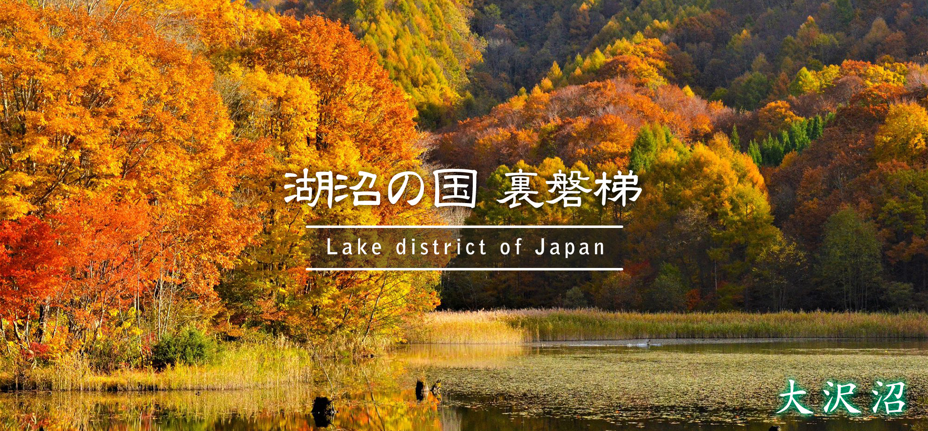 大沢沼