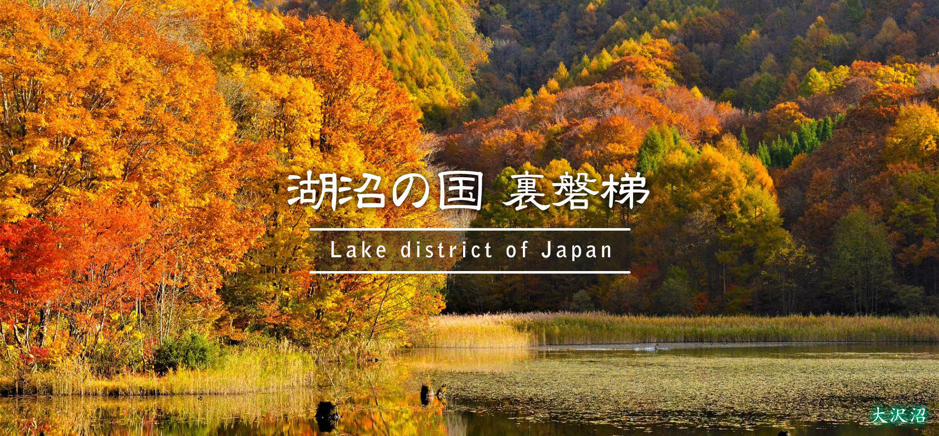 大沢沼