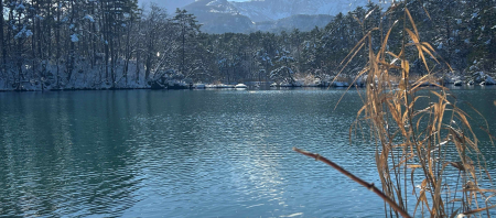 【近頃の裏磐梯は…？】