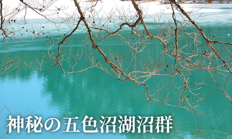 季節のおすすめ1