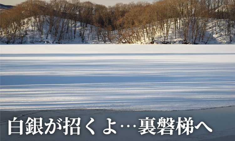 季節のおすすめ4