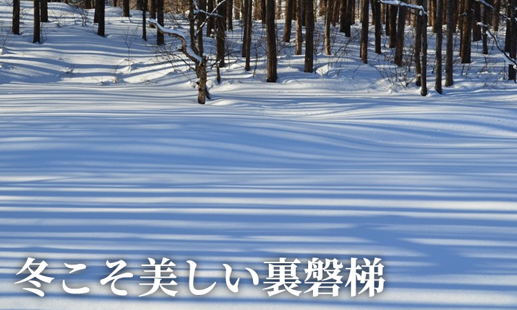 季節のおすすめ2