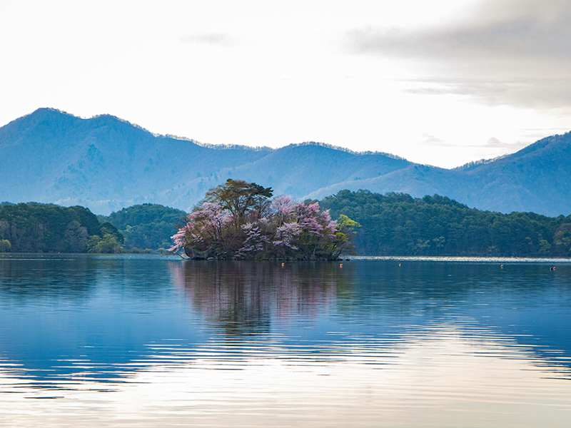 Sakurajima Island