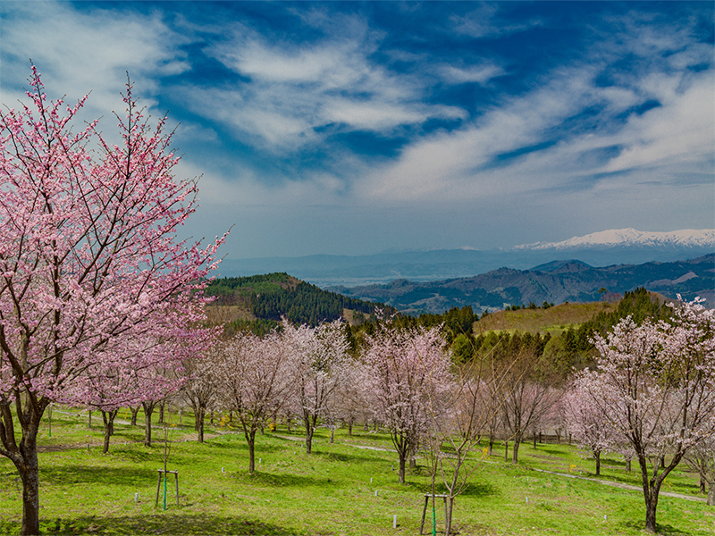 Sakuratoge pass (ridge)