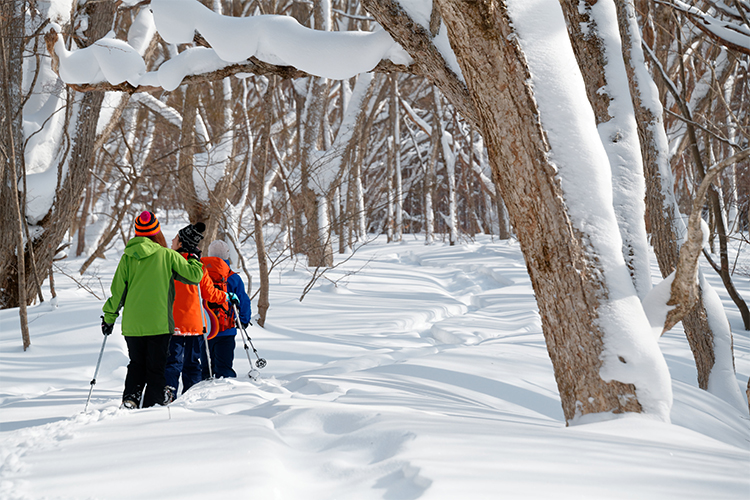 Snowshoes