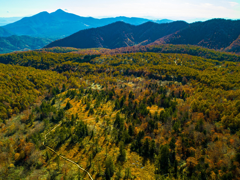 Wasezawa Dekodaira Marsh Trail