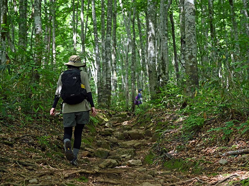 Oguninuma Marshland Trail