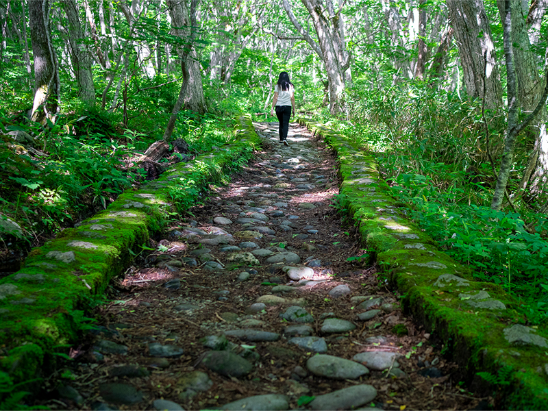 Onogawa Fudotaki Waterfall Trail