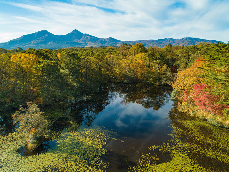 Rengenuma Pond and Nakasenuma Pond Trail